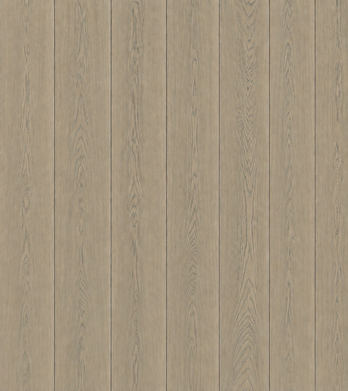 Nocturne European oak texture